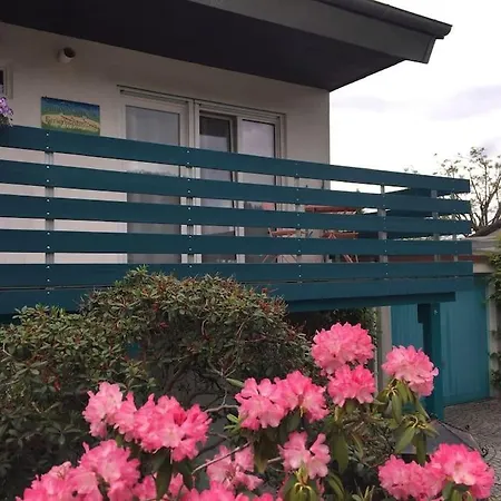 Apartment Haus Magnolia 1 *